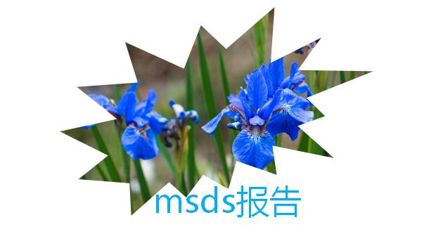 msds報告