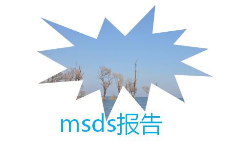 msds報告